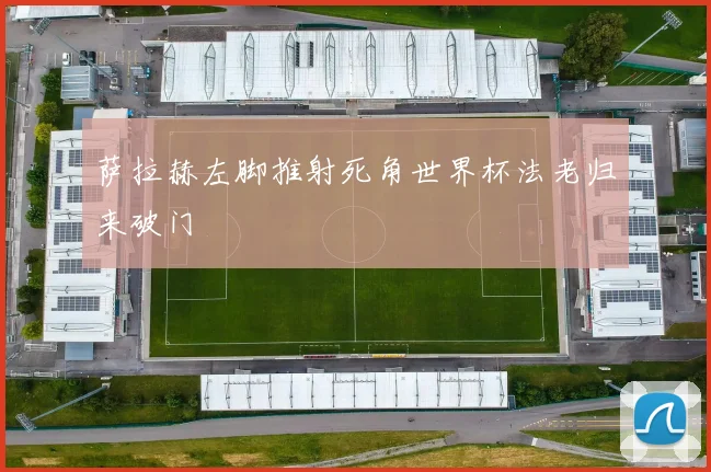 萨拉赫左脚推射死角世界杯法老归来破门