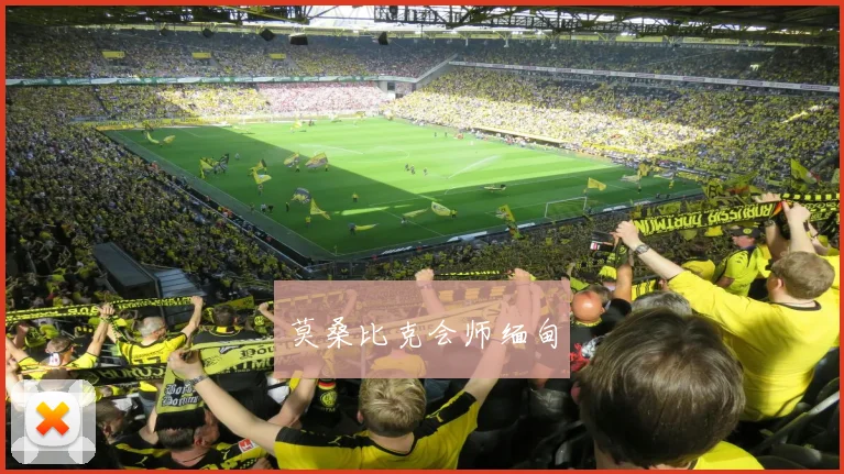 莫桑比克会师缅甸
