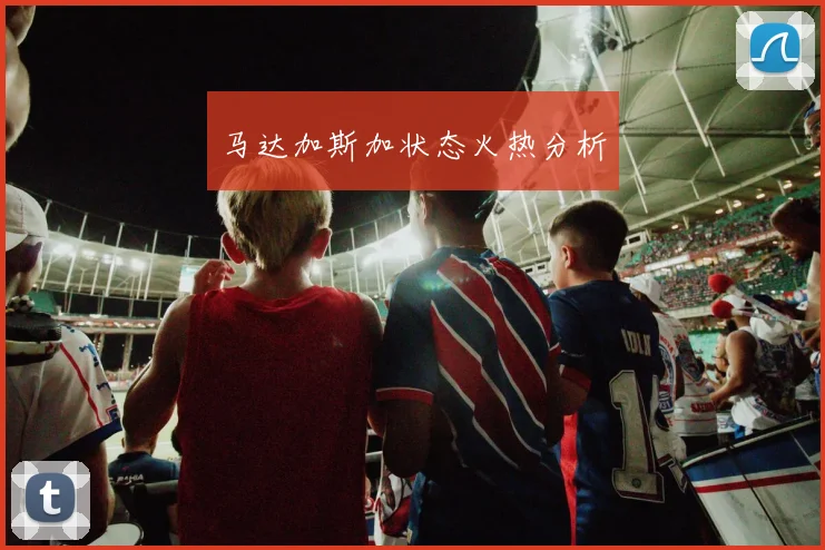 马达加斯加状态火热分析