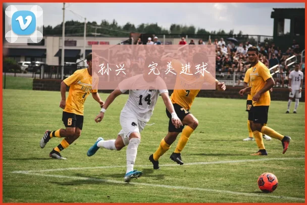 孙兴慜完美进球