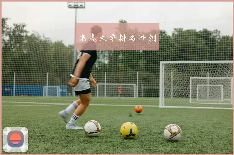 老虎大学排名冲刺
