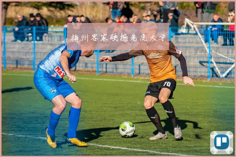 梅州客家硬撼老虎大学