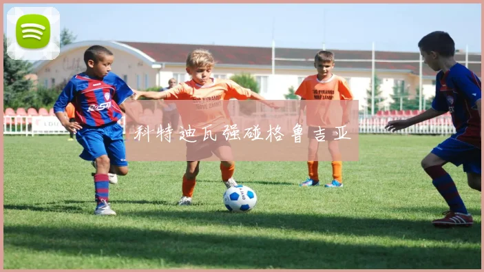 科特迪瓦强碰格鲁吉亚