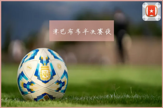津巴布韦半决赛夜