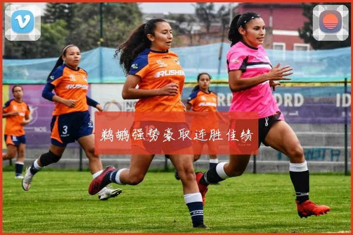 鹈鹕强势豪取连胜佳绩