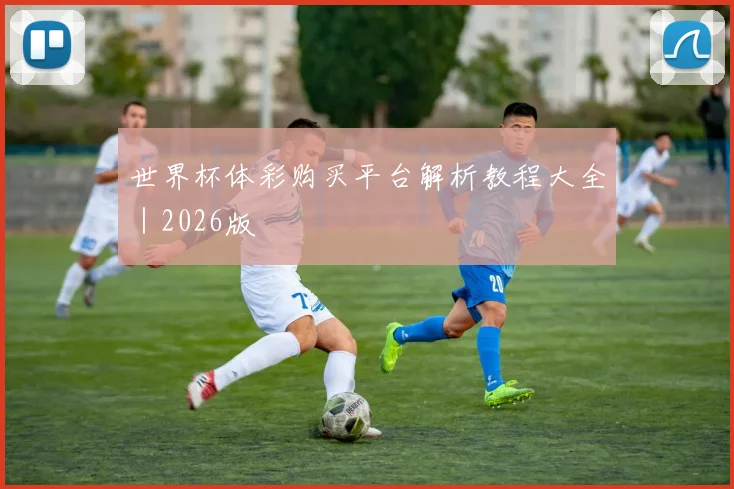 世界杯体彩购买平台解析教程大全｜2026版
