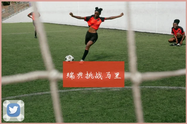 瑞典挑战马里