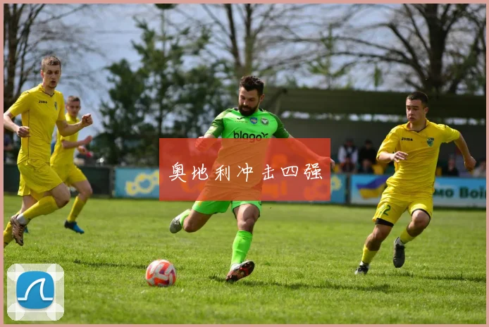奥地利冲击四强