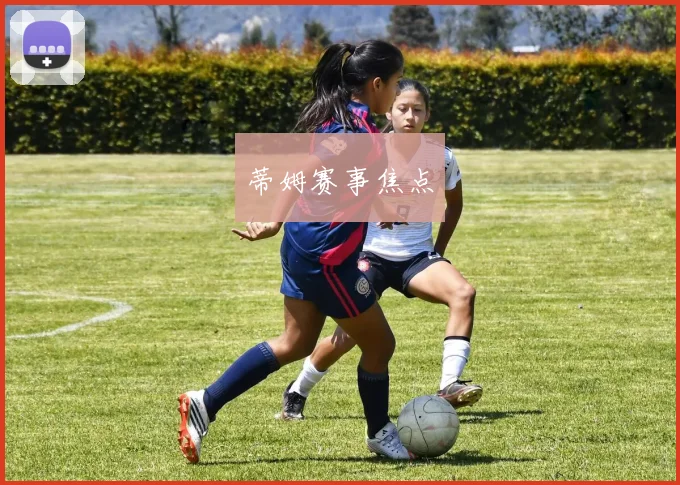 蒂姆赛事焦点
