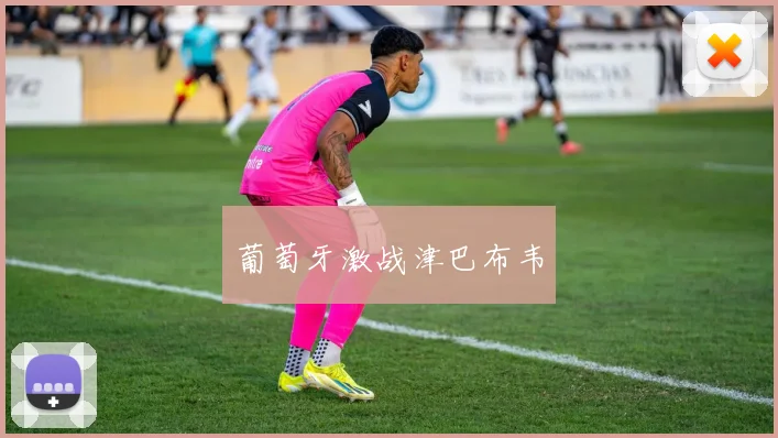 葡萄牙激战津巴布韦