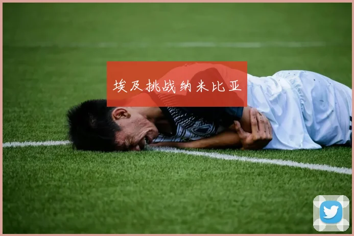 埃及挑战纳米比亚