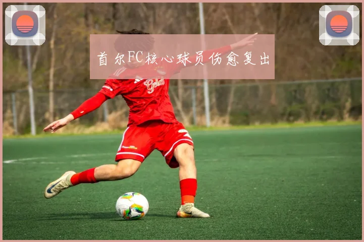 首尔FC核心球员伤愈复出