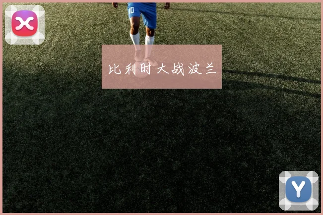比利时大战波兰