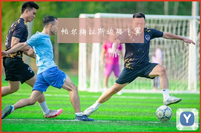 帕尔梅拉斯边路飞翼