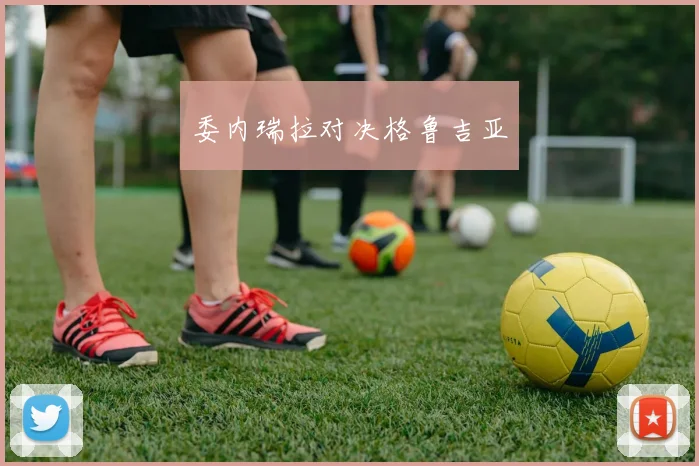 委内瑞拉对决格鲁吉亚