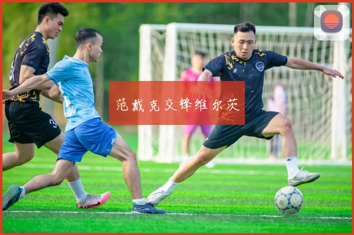 范戴克交锋维尔茨