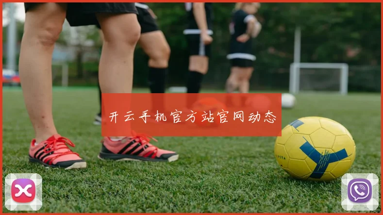 开云手机官方站官网动态