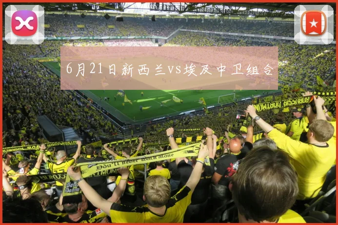 6月21日新西兰vs埃及中卫组合